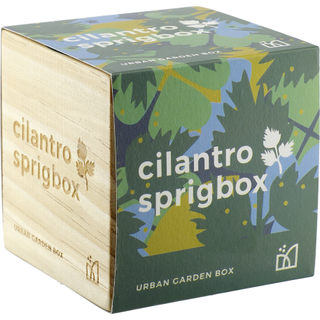 Sprigbox Cilantro Grow Kit