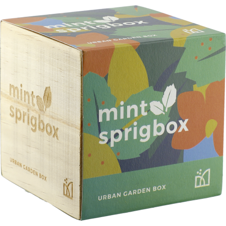 Sprigbox Mint Grow Kit