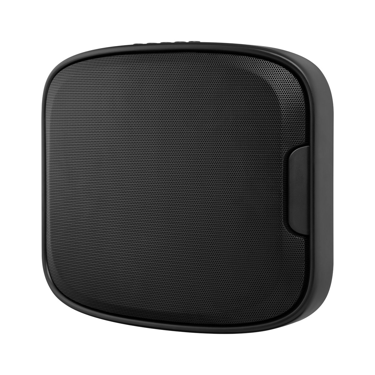 Wall Mount Wireless Speaker