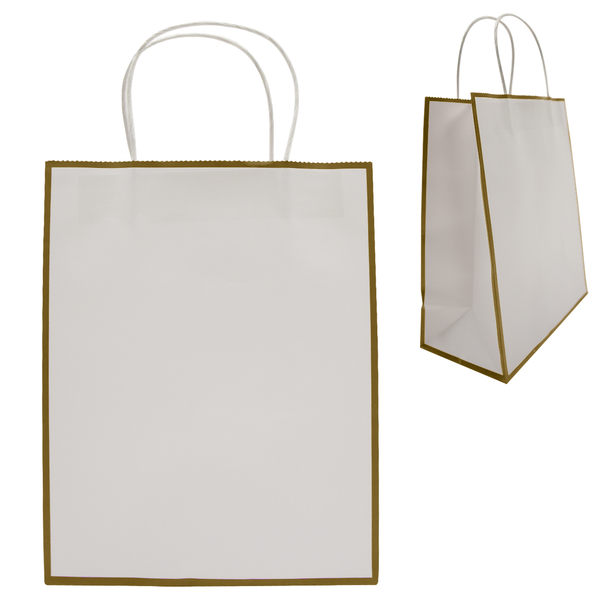 Laminated Paper Gift Bag